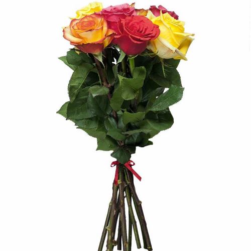 Заказать 7 разноцветных роз с доставкой по Березнякам